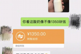 古城为什么选择专业追讨公司来处理您的债务纠纷？