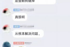 古城专业讨债公司有哪些核心服务？